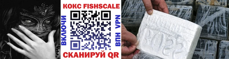кракен рабочий сайт  Гуково  COCAIN Fish Scale 
