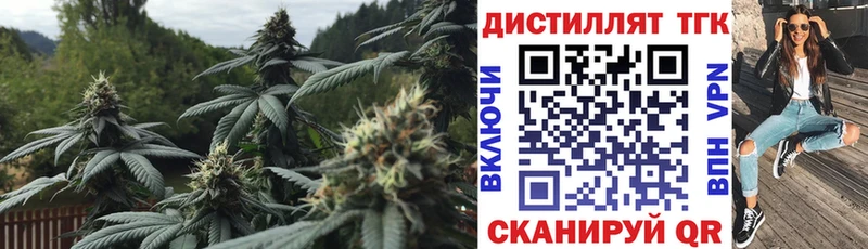 где продают наркотики  Гуково  Дистиллят ТГК THC oil 