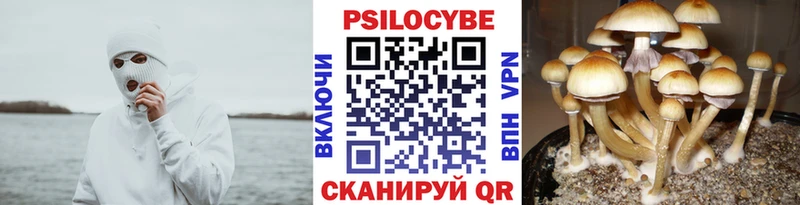 shop Telegram  Гуково  Псилоцибиновые грибы Cubensis  наркота  KRAKEN ссылки 